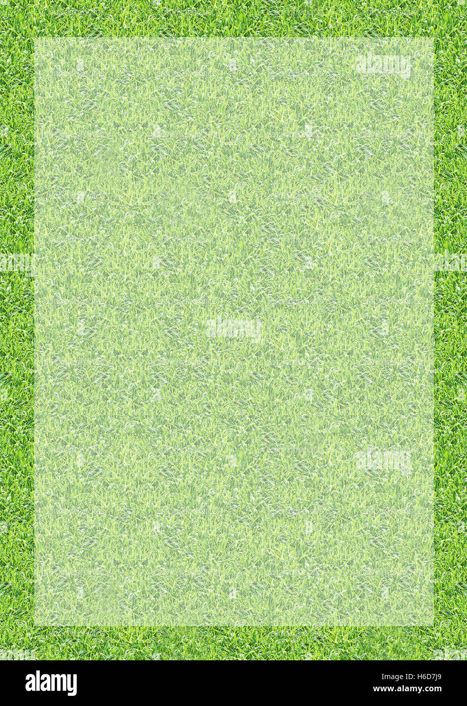Green grass pattern loop textured backdrop Stock Photo