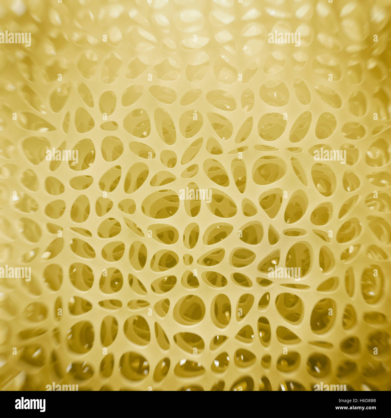 Bone spongy structure illustration - 3D Rendering Stock Photo