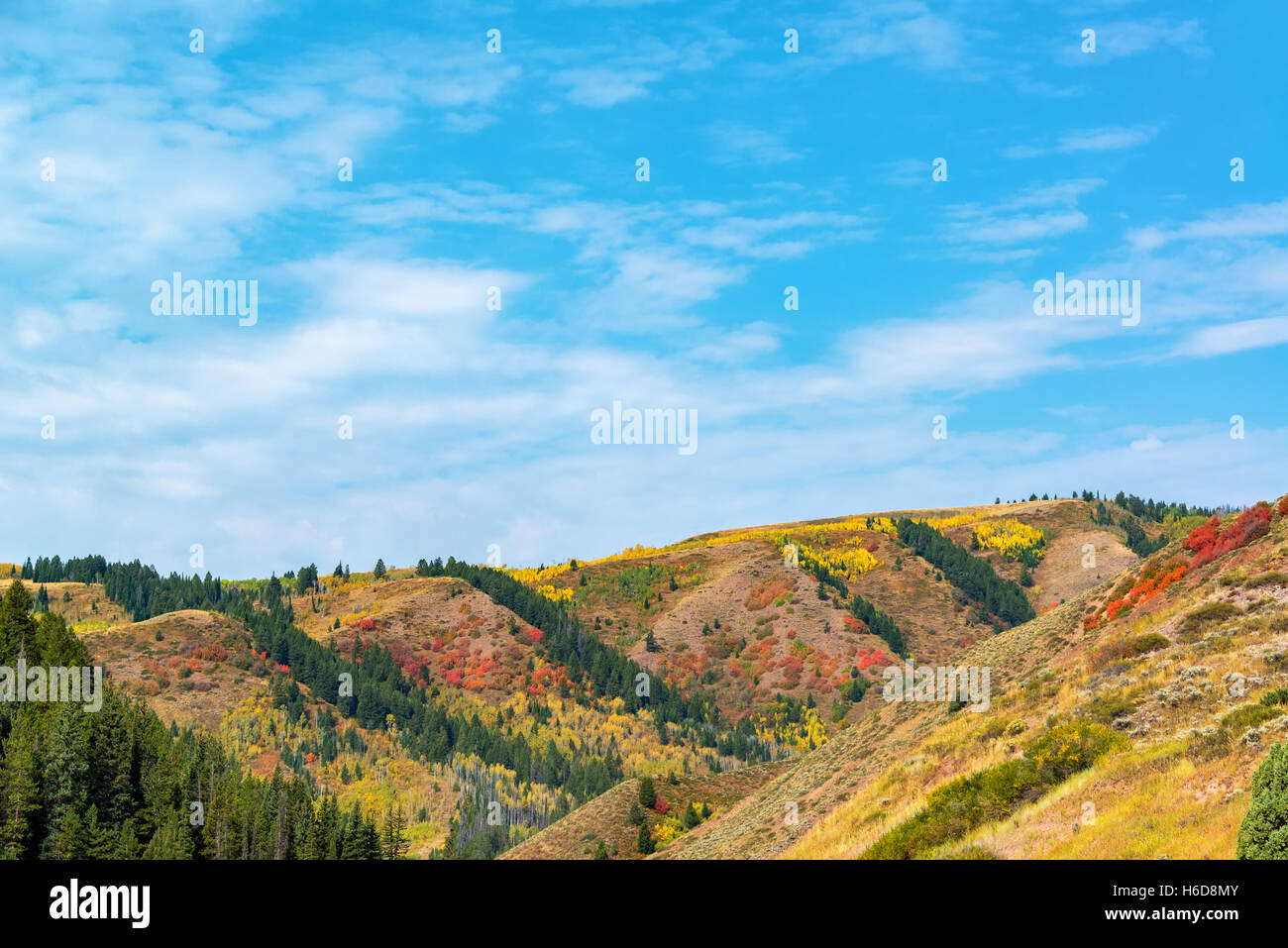 Beautiful colorful hills in southern Wyoming with red, yellow, orange, and green foliage set against a blue sky Stock Photo