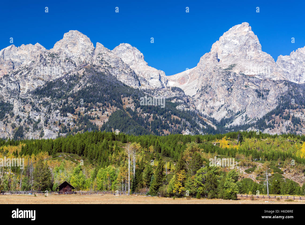 Teton Range and colorful forest covered foothills in Grand Teton National Park Stock Photo