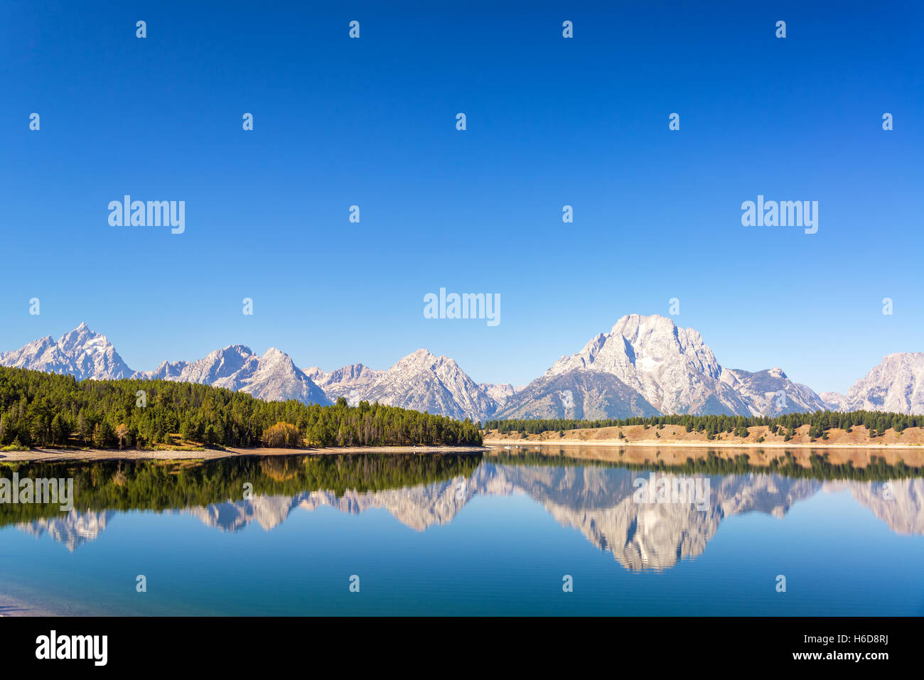 Teton Range and forest reflected in Jackson Lake on a beautiful clear autumn morning in Grand Teton National Park Stock Photo