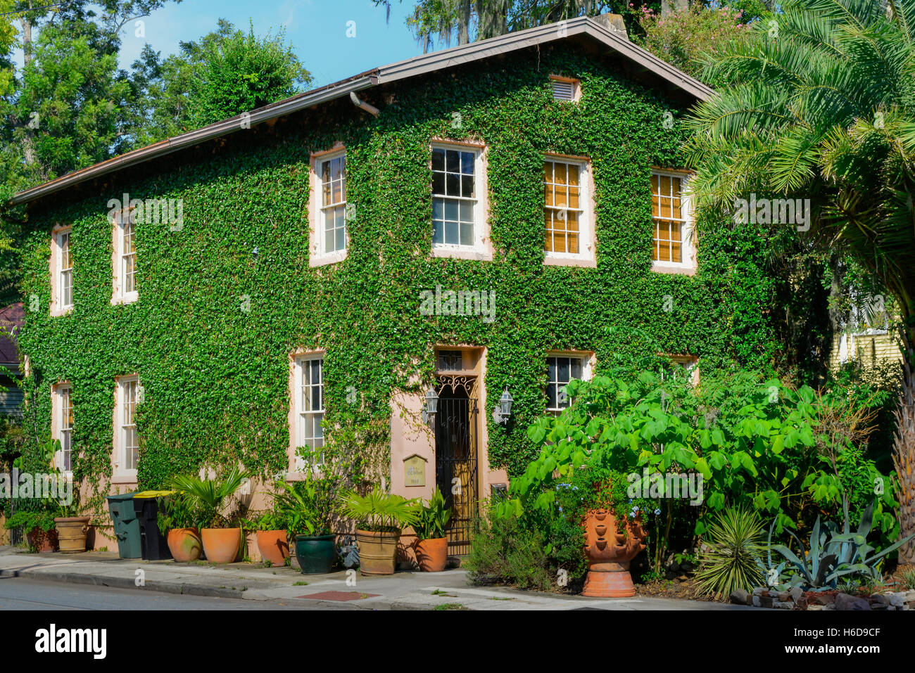 Constructed in 1863, an Ivy covered two storied home with terra cotta planters in historical district of Savannah, GA Stock Photo