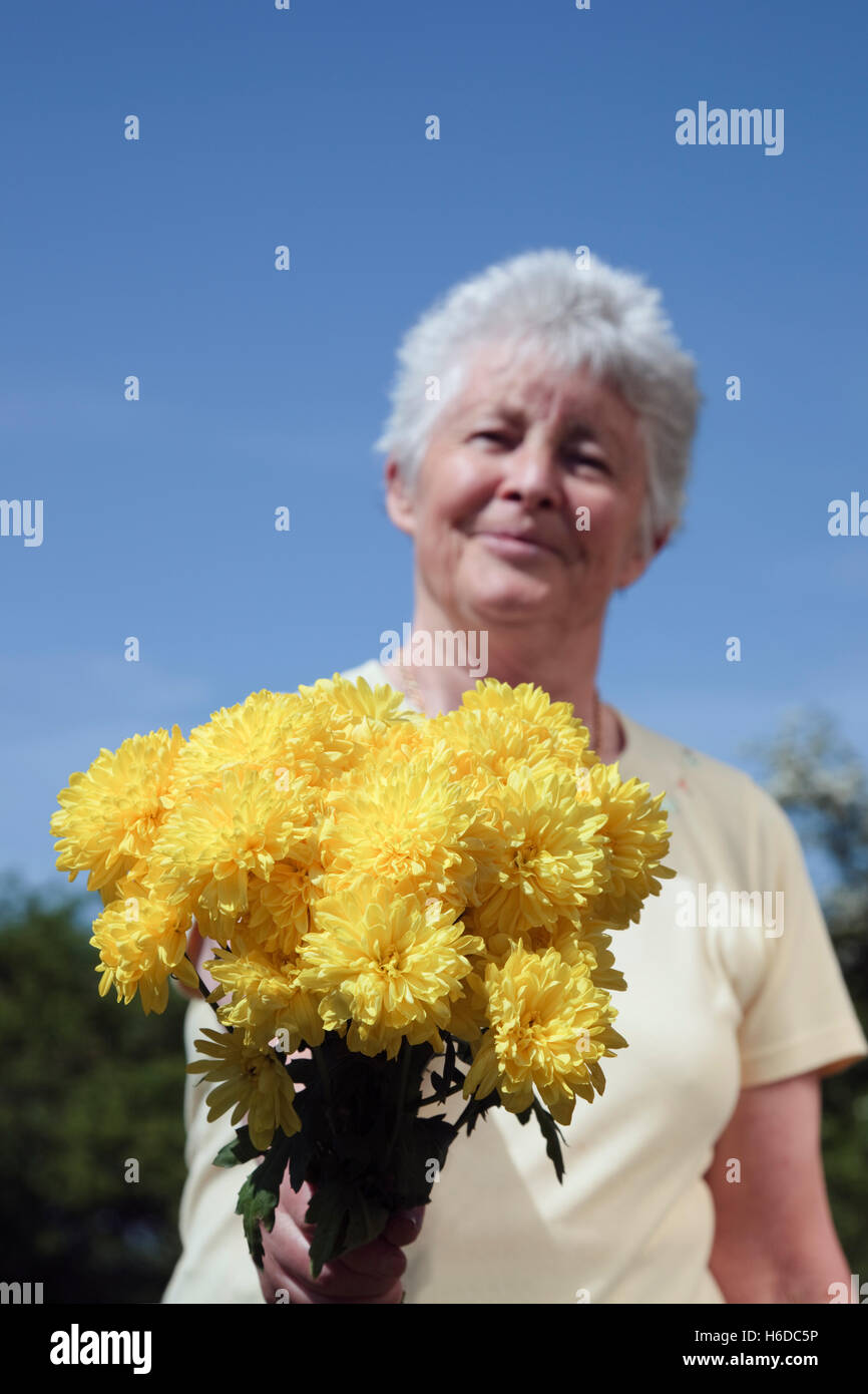 Kind friendly senior woman OAP lady smiling and holding a bunch of yellow flowers out in front and looking happy. UK, Britain. Stock Photo