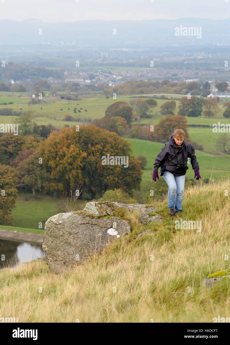 A mature woman climbing up the Craig of Duncarnock (Craigie) just south of Glasgow, Scotland, UK Stock Photo