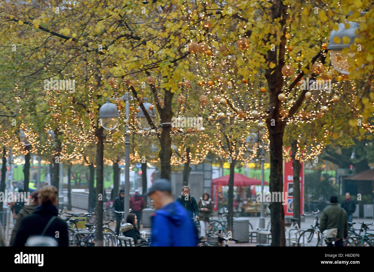 Hanover, Germany. 27th Oct, 2016. Christmas lights on trees in the
