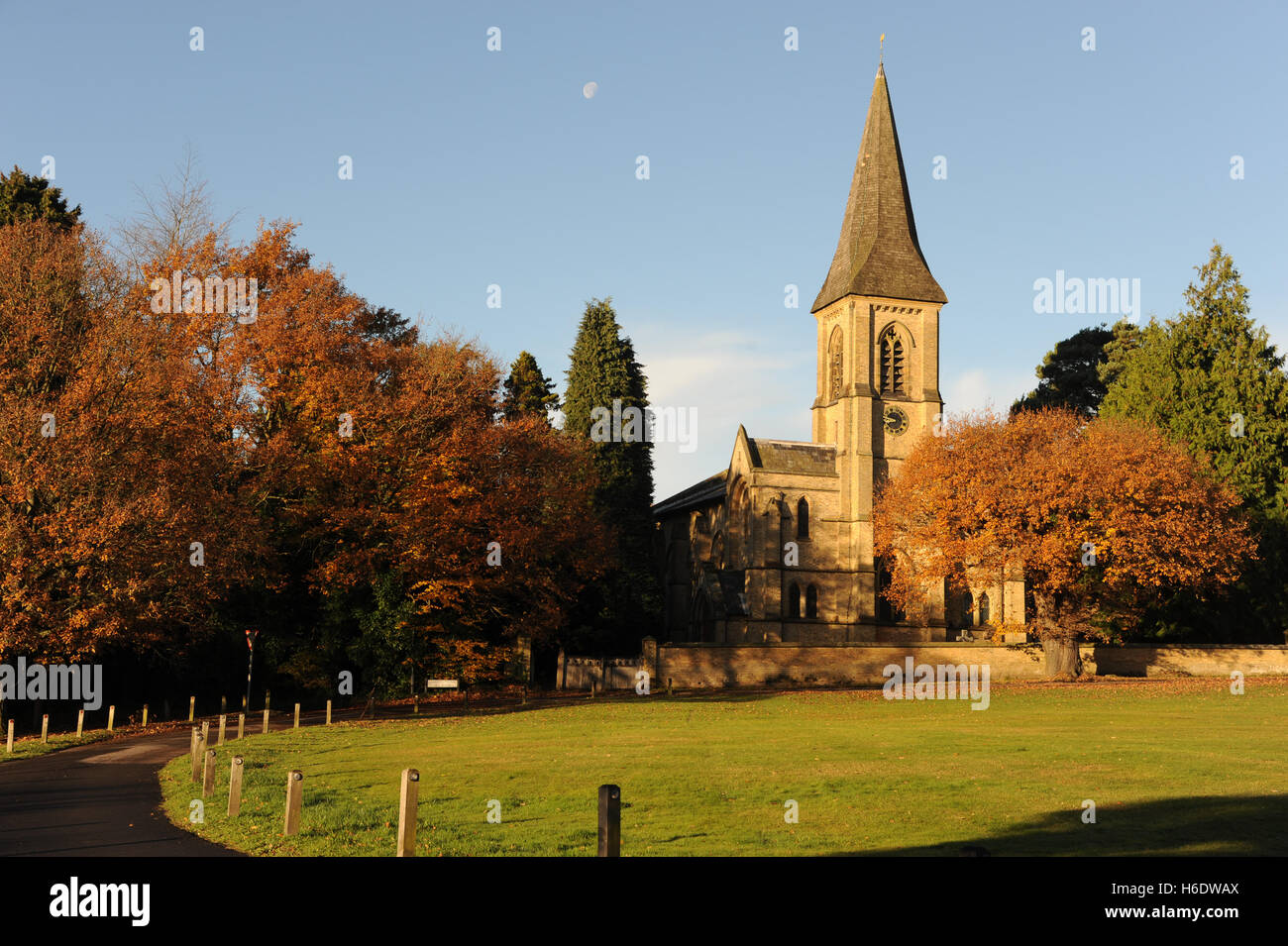 Saint Peter's Church, Tunbridge Wells, Great Britain. 18th November 2016. Perfect blue skies over St Pete's Church overlooking Southborough Common with golden Autumn leaves on the trees. Credit:  Tony Rogers/Alamy Live News Stock Photo