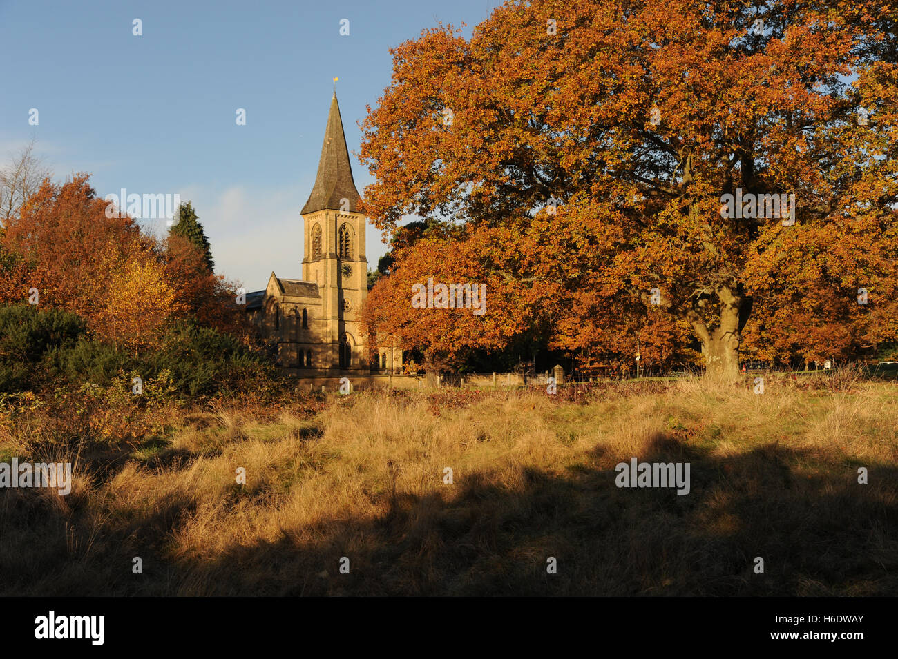 Saint Peter's Church, Tunbridge Wells, Great Britain. 18th November 2016. Perfect blue skies over St Pete's Church overlooking Southborough Common with golden Autumn leaves on the trees. Credit:  Tony Rogers/Alamy Live News Stock Photo