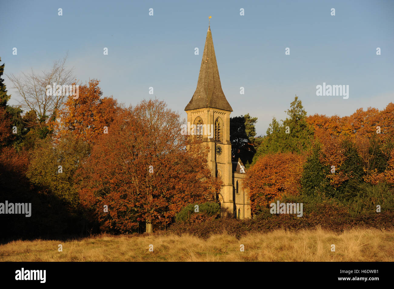 Saint Peter's Church, Tunbridge Wells, Great Britain. 18th November 2016. Perfect blue skies over St Pete's Church overlooking Southborough Common with golden Autumn leaves on the trees. Credit:  Tony Rogers/Alamy Live News Stock Photo