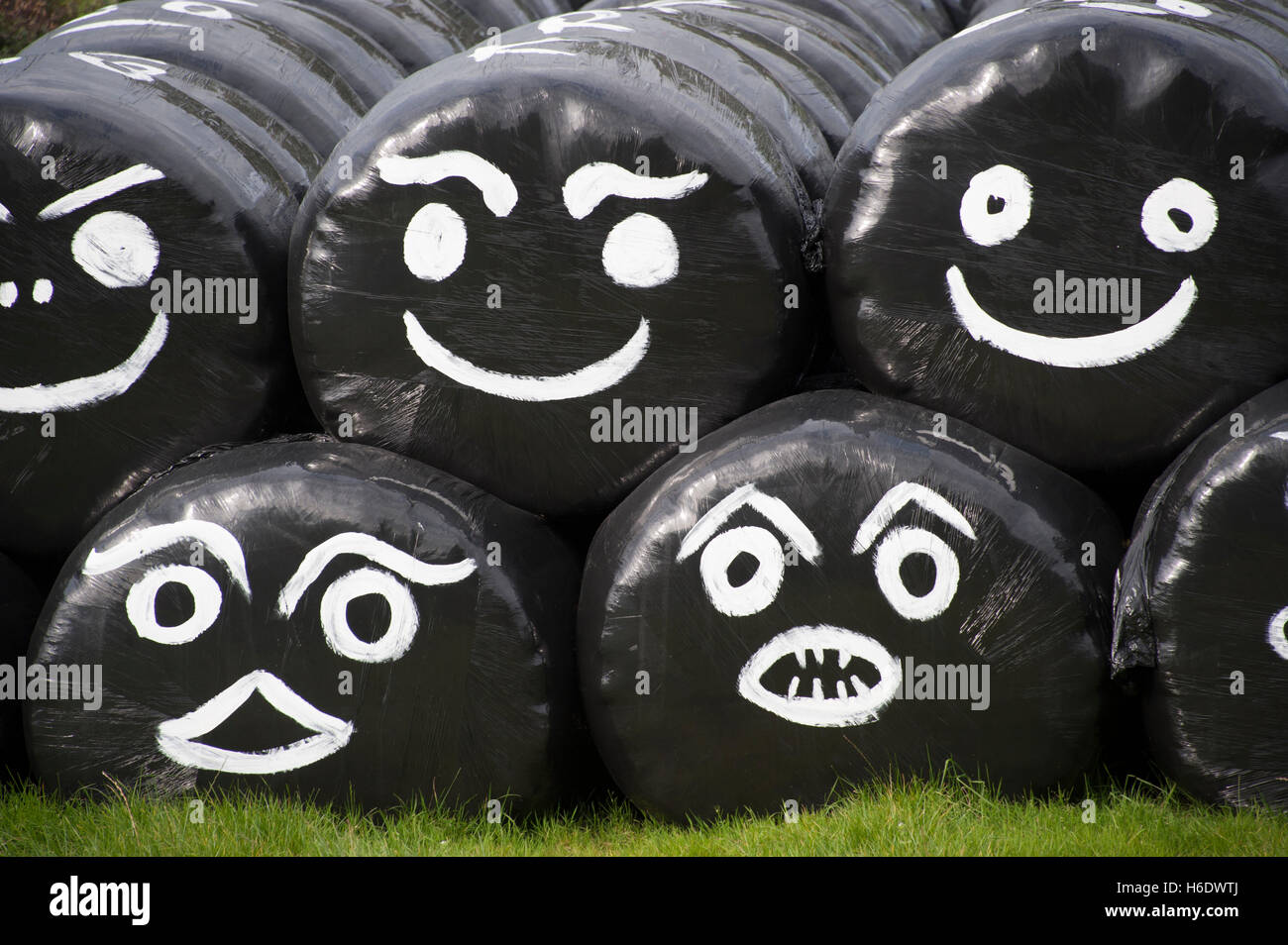 Round bales of silage wrapped in plastic film, with faces drawn on. Cumbria, UK. Stock Photo