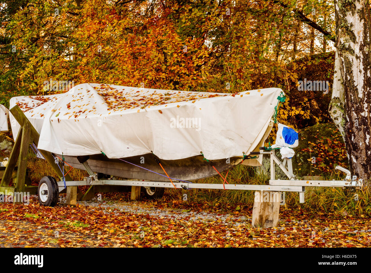 Small recreational boat under a tarp on a trailer in fall. Stock Photo