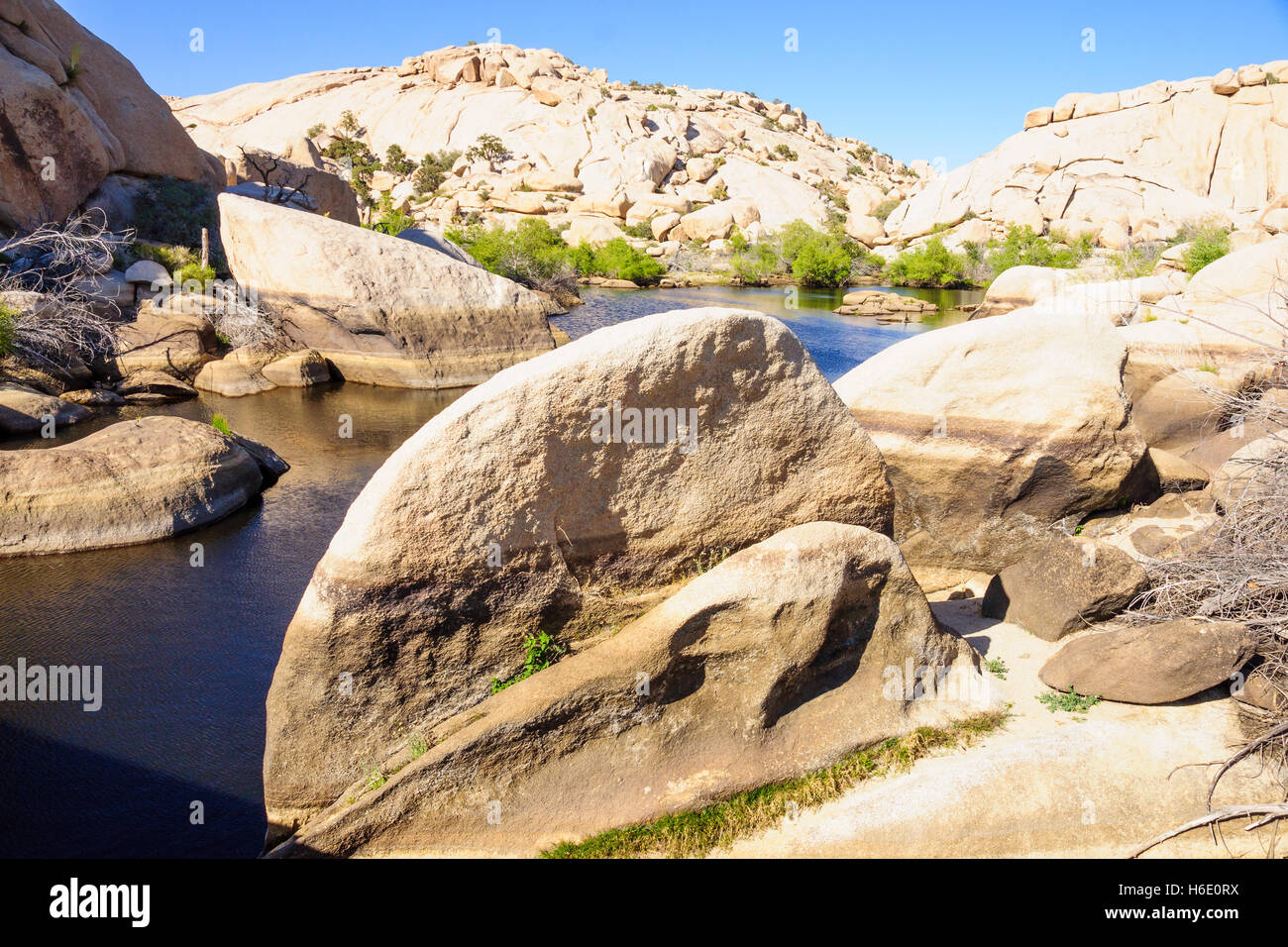 Stream and rocks in Joshua Tree National Park, California, USA Stock Photo