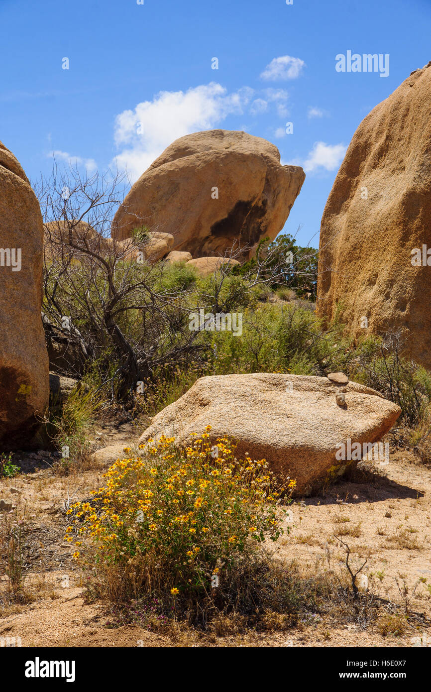 Rock formations in Joshua Tree National Park, California, USA Stock Photo