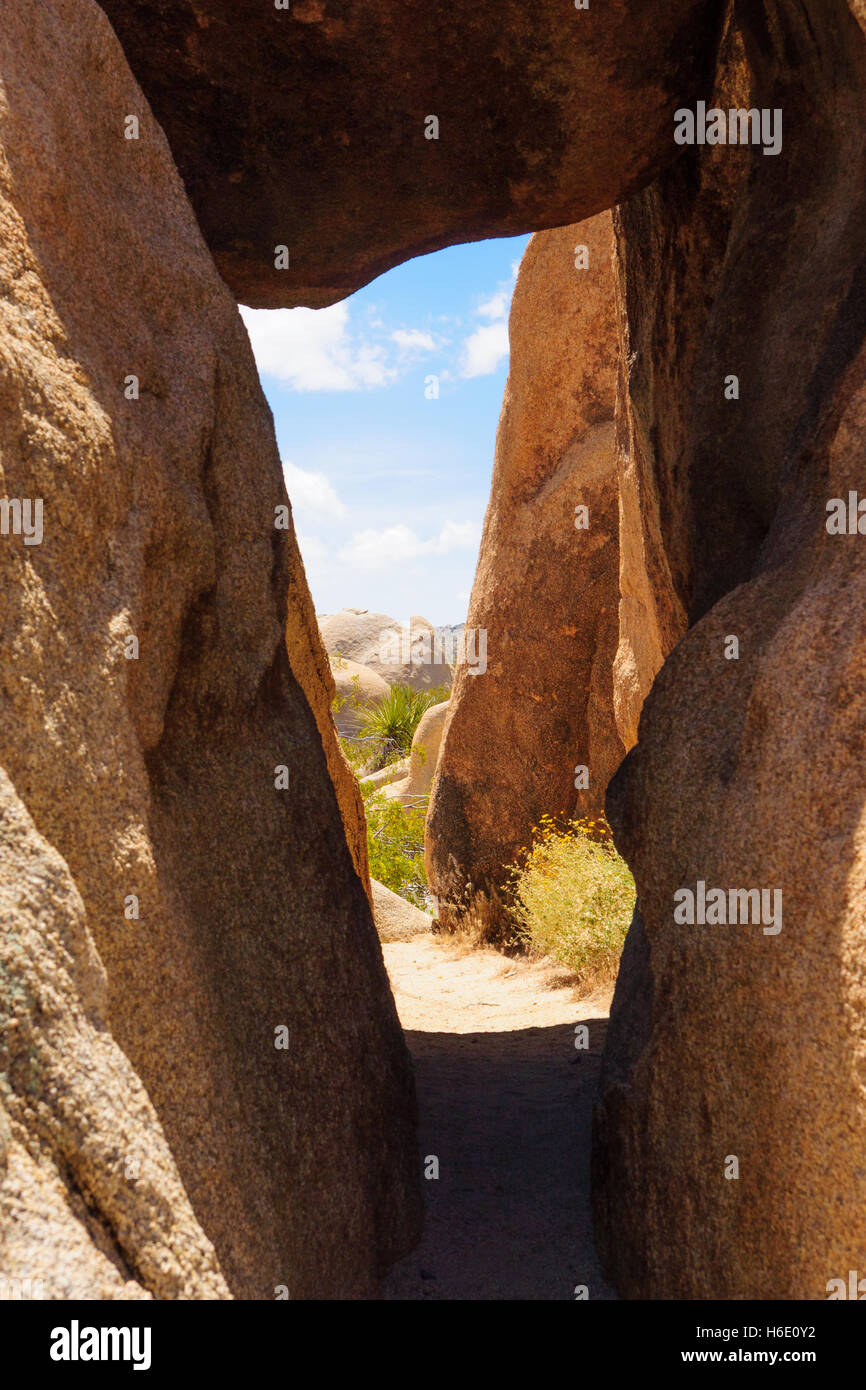 Rock formations in Joshua Tree National Park, California, USA Stock Photo