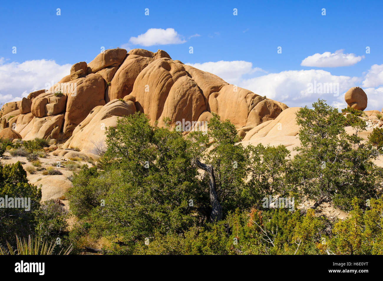 Desert landscape in Joshua Tree National Park, California, USA Stock Photo