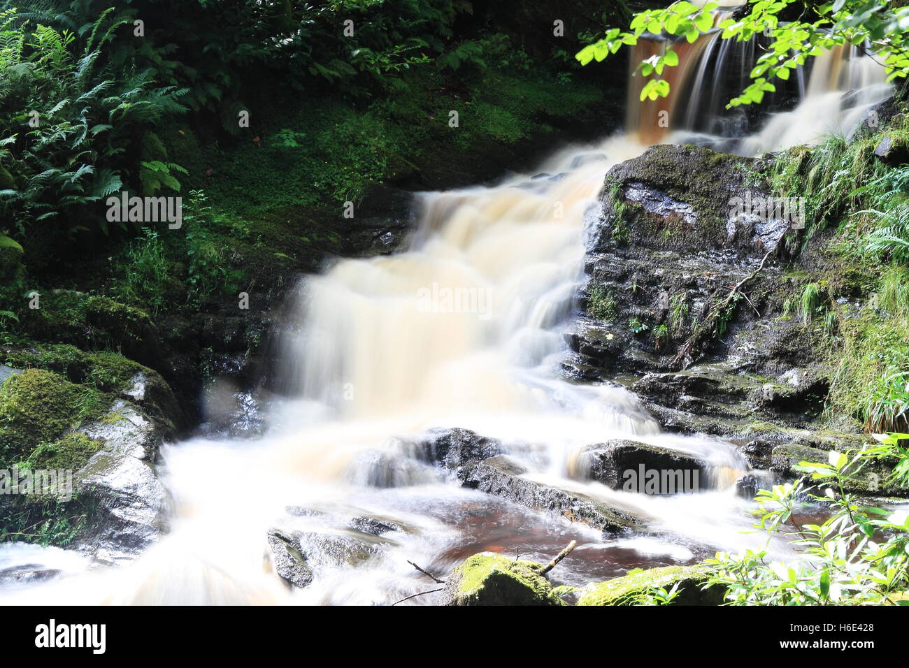 Argyle Waterfall Hi res Stock Photography And Images Alamy argyle-waterfall-hi-res-stock-photography-and-images-alamy