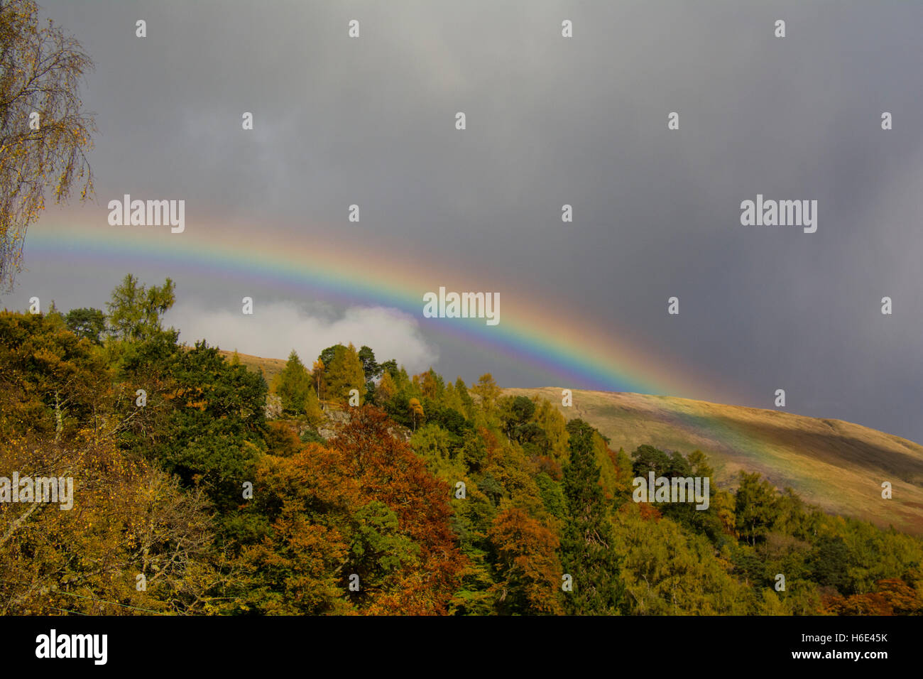 Autumns Rainbow Stock Photo