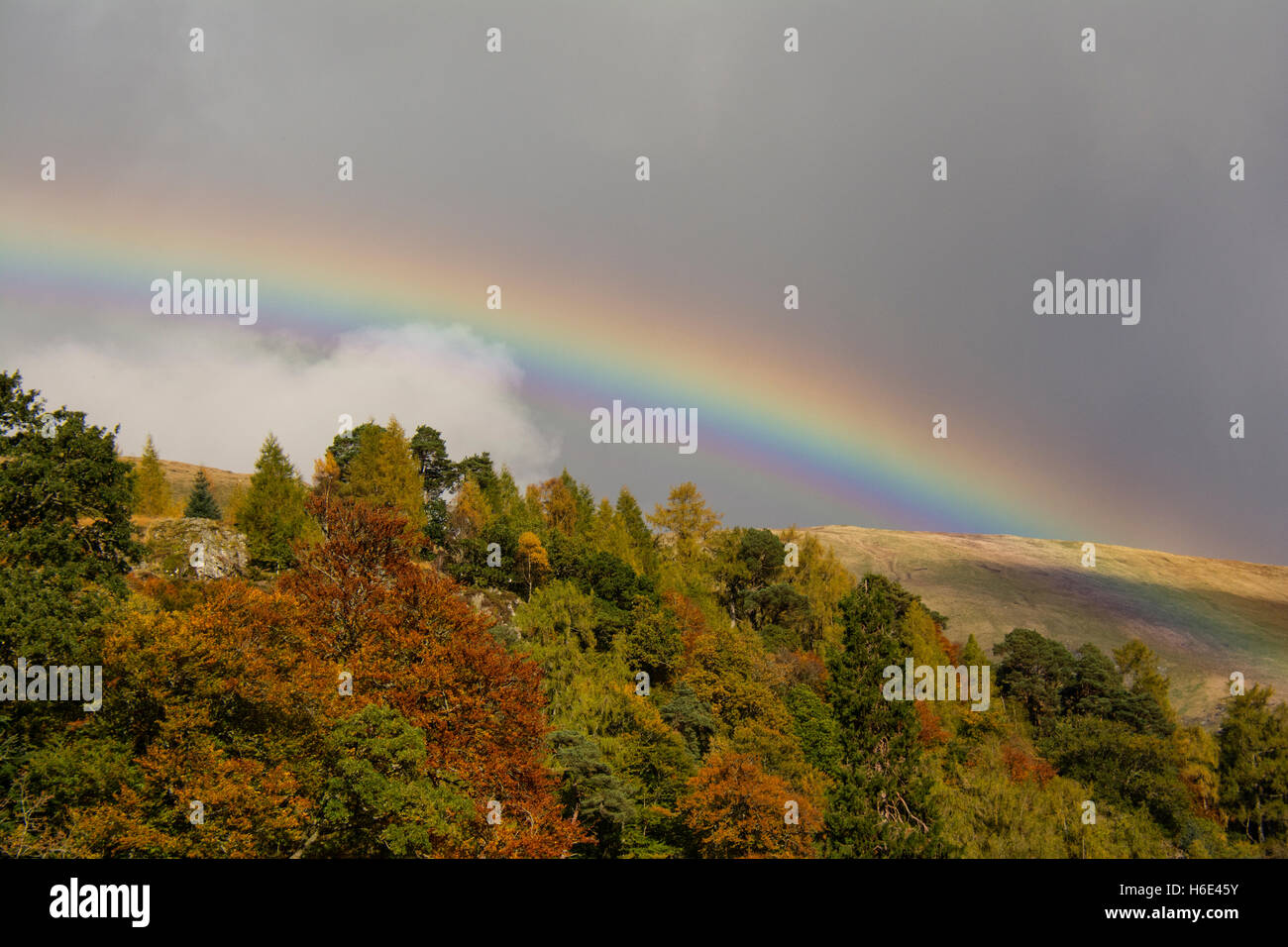Autumns Rainbow Stock Photo