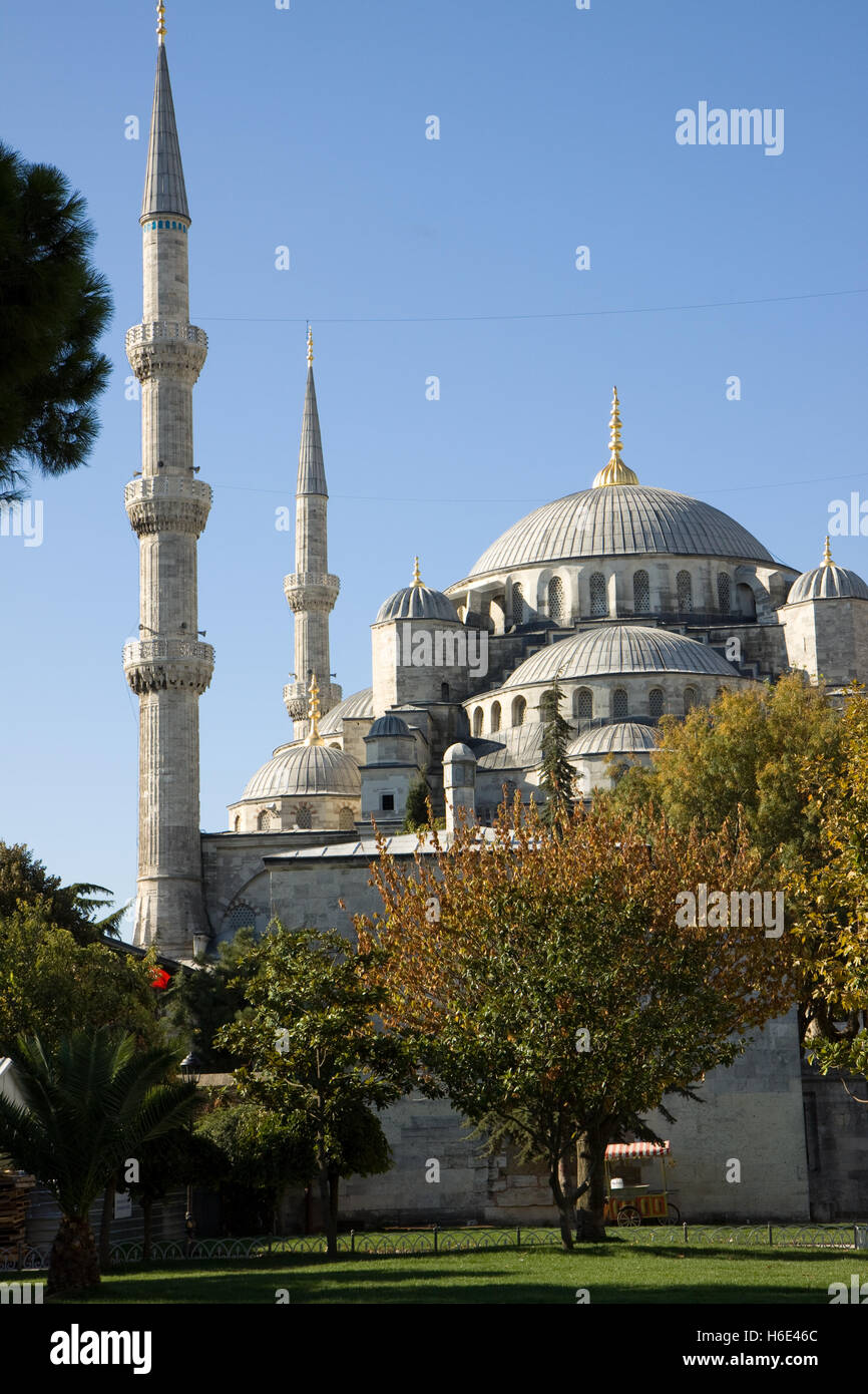 blue mosque in istanbul turkey Stock Photo - Alamy
