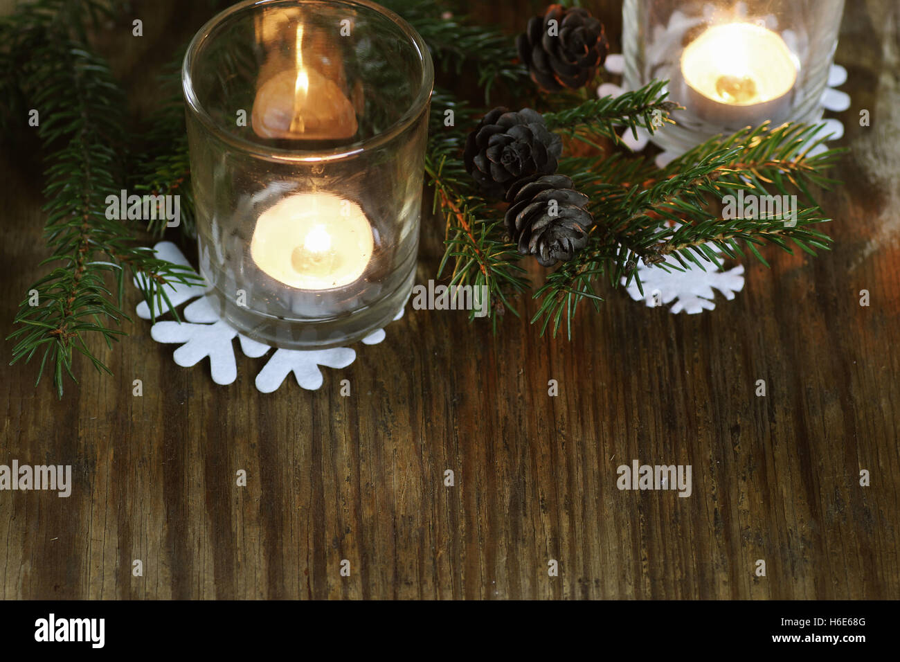 branch candlestick cone Stock Photo Alamy