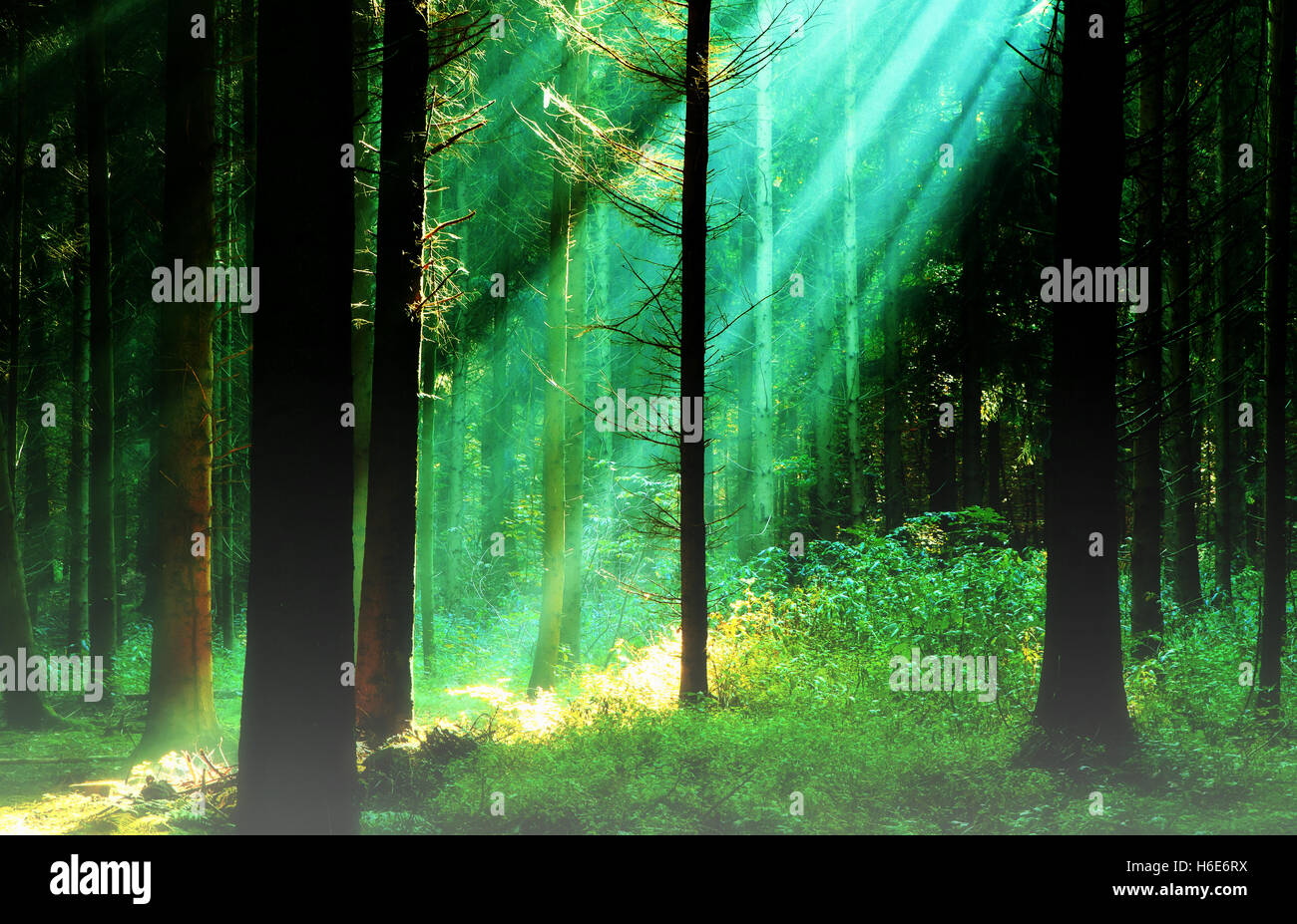 Rays natural beauty hi-res stock photography and images - Alamy