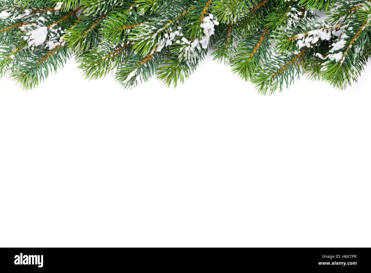 Christmas fir tree frame background. Isolated on white background with ...