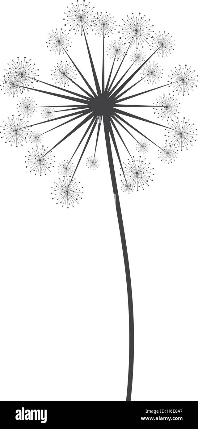 Dandelion Seed Clip Art