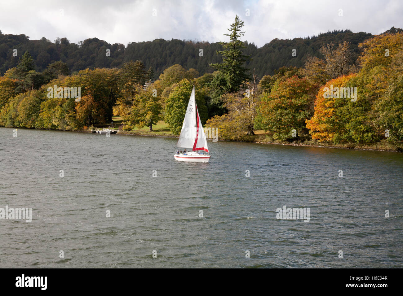 Yacht sailing along the eastern bank of Windermere with trees in Autumn colours Lake District Cumbria England Stock Photo