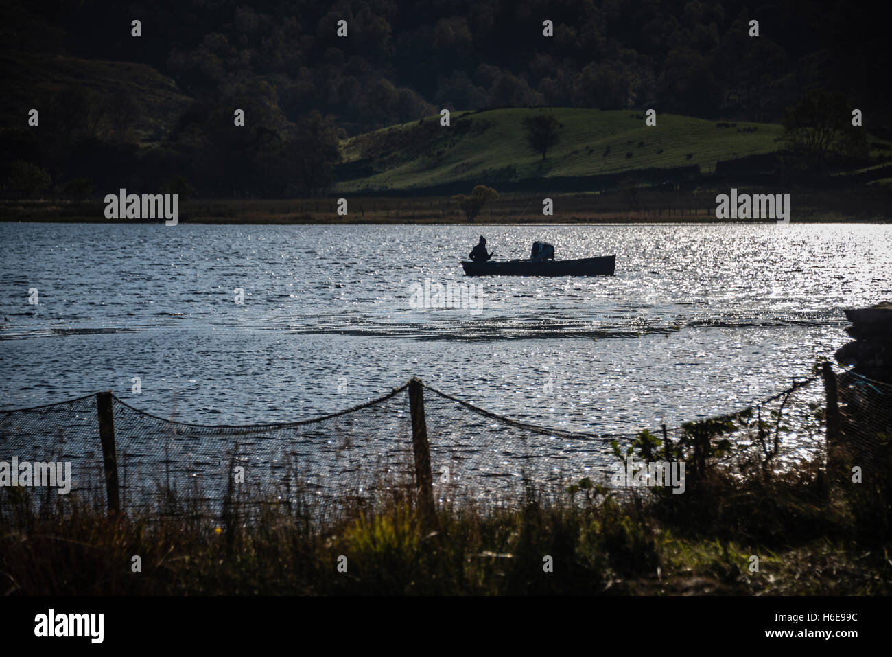 Game fishing hi-res stock photography and images - Page 14 - Alamy