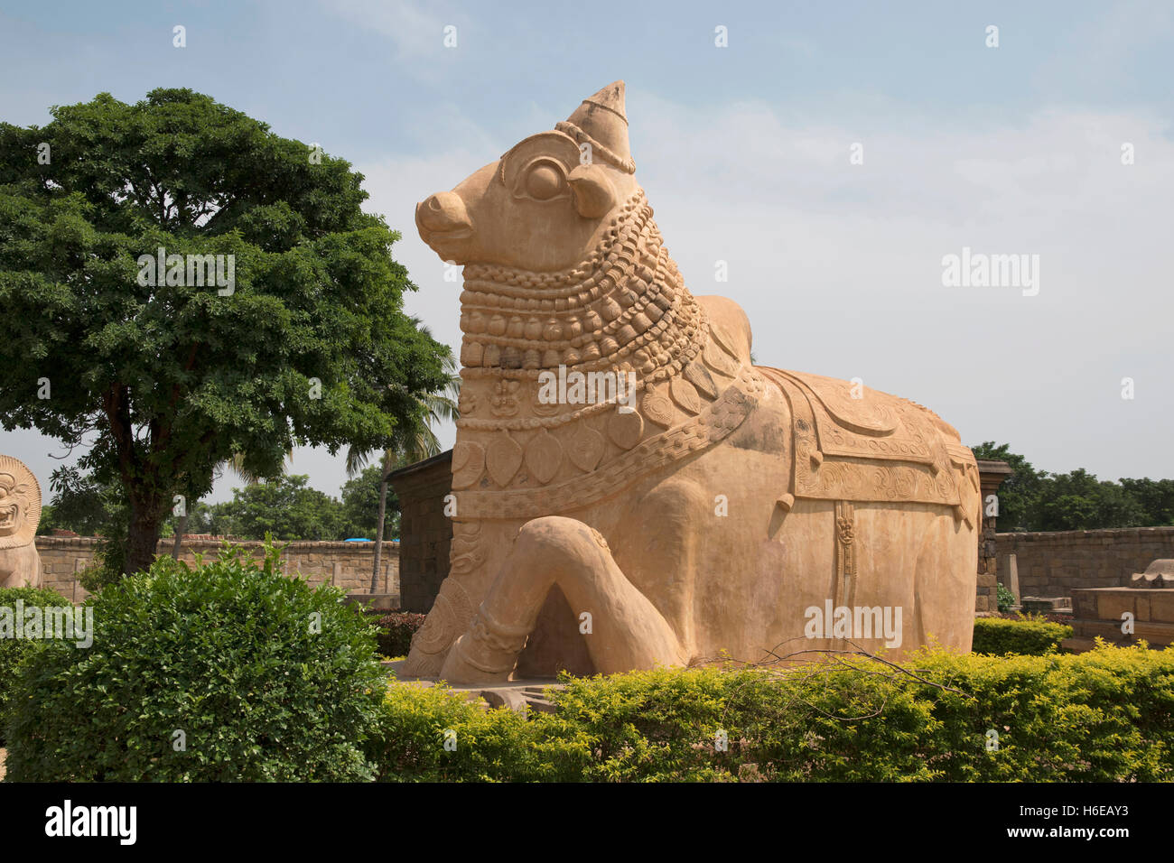 Huge Nandi bull at the entrance, Brihadisvara Temple Stock Photo - Alamy