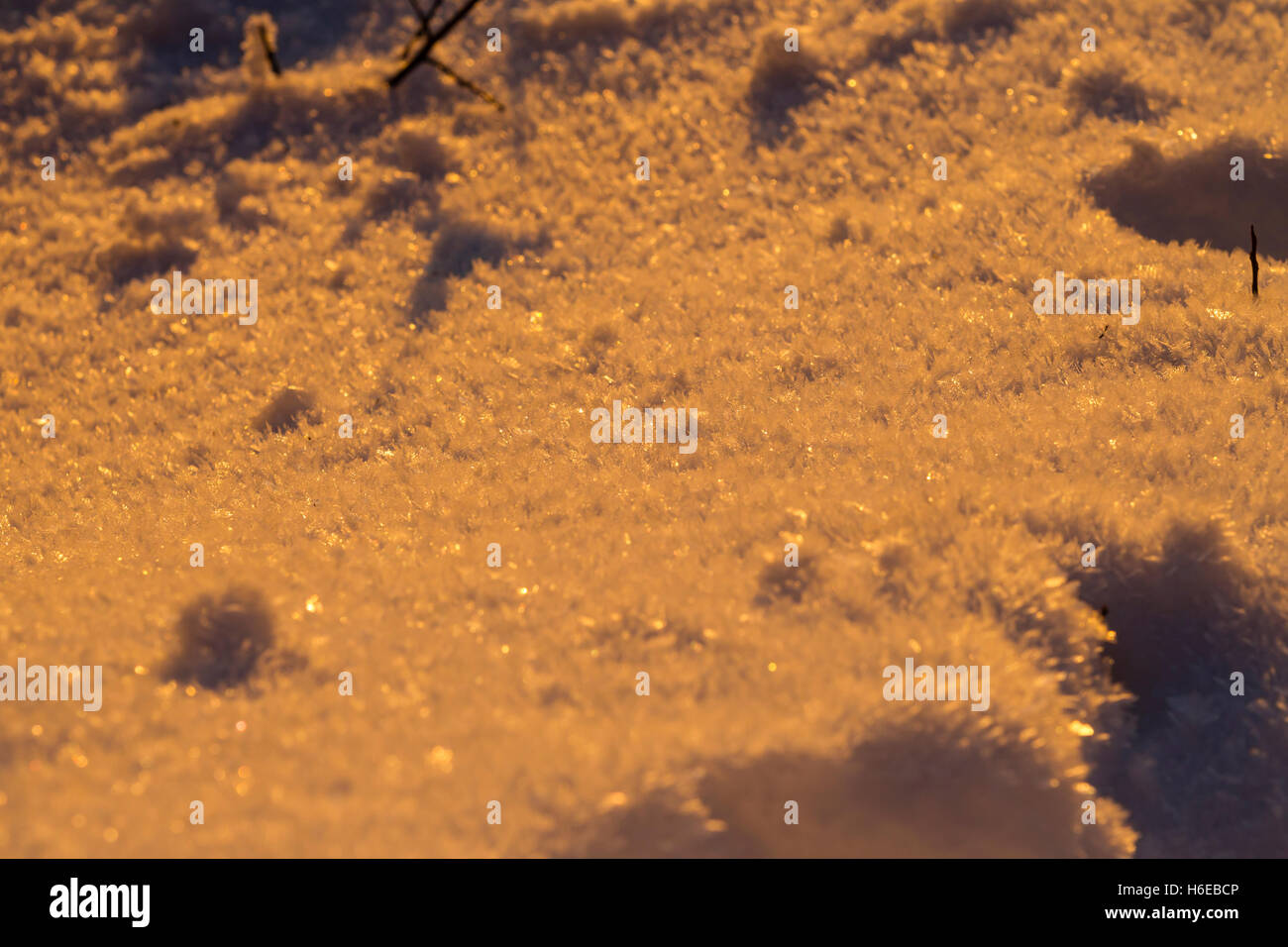 Schneekristalle im Abendlicht, Snow crystals in the evening light Stock Photo