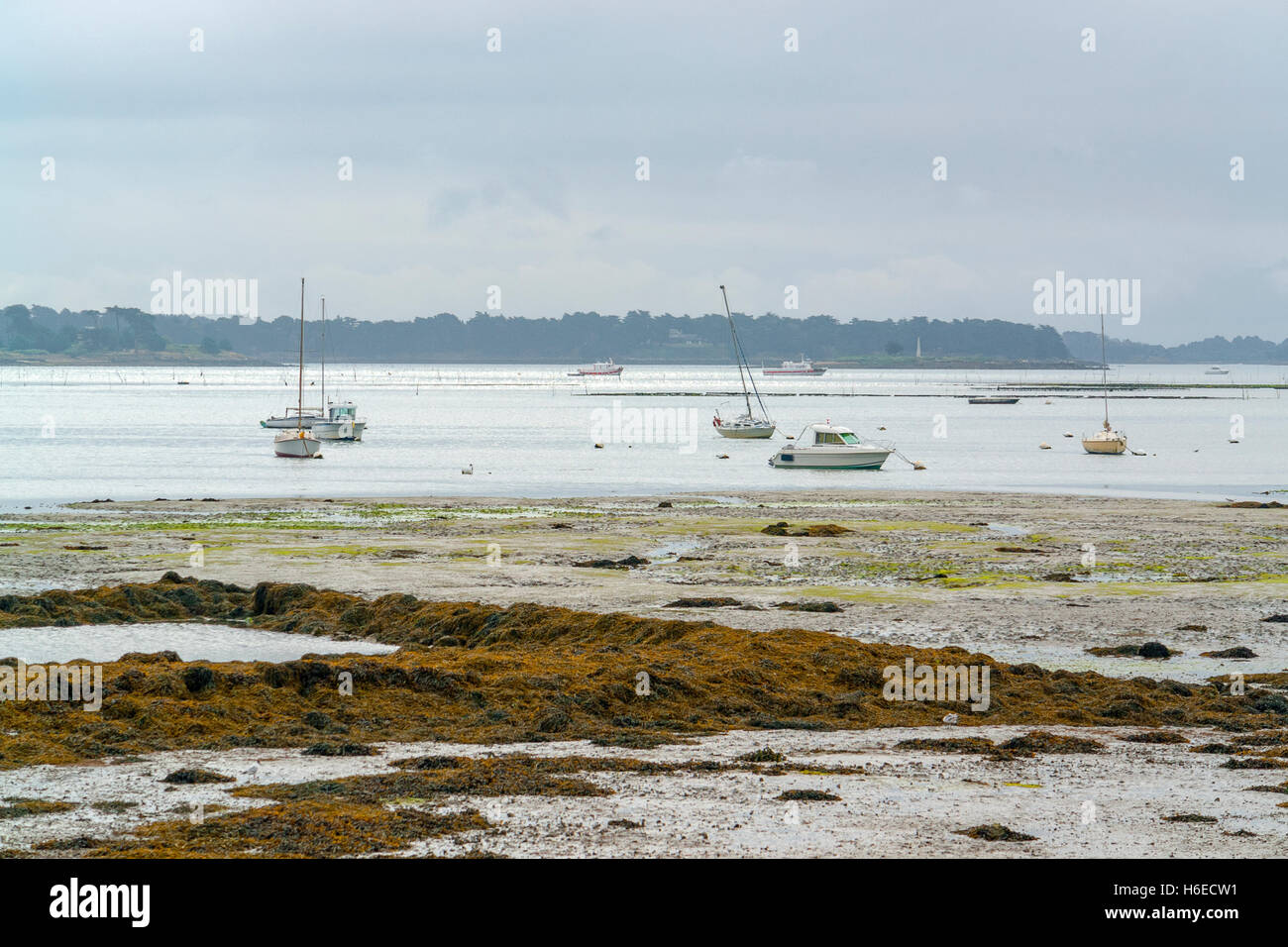 Scenery around Larmor-Baden, a commune in the Morbihan department of Brittany in north-western France. Stock Photo