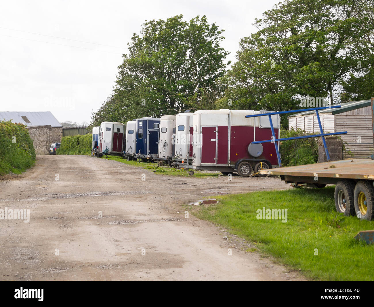 line of horse boxes parked on verge Stock Photo