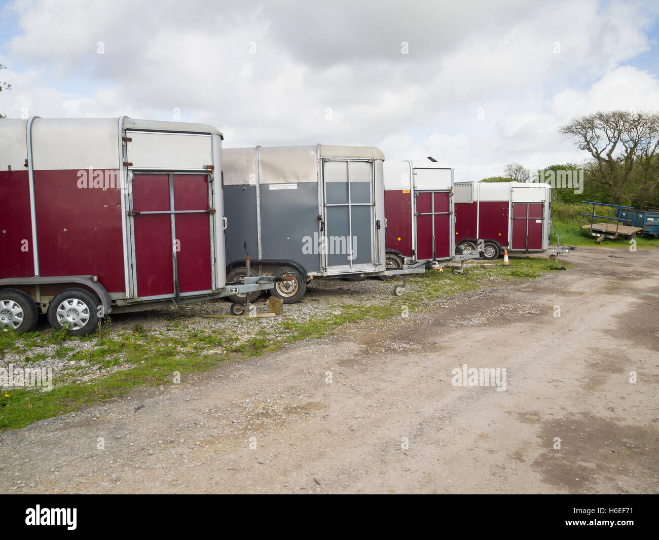 Horse boxes hires stock photography and images Alamy