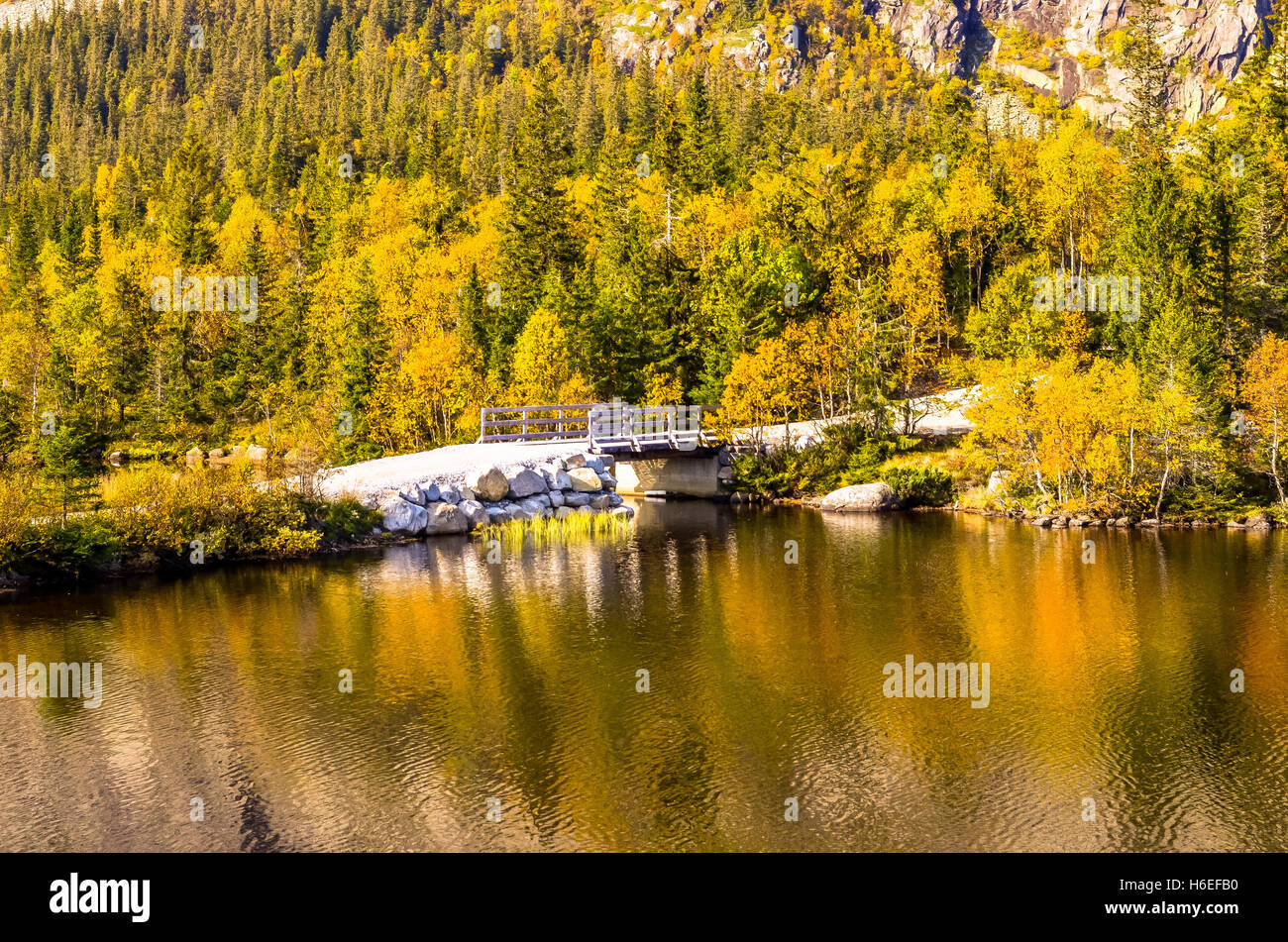 small white bridge over a fjord in autumn landscape Stock Photo