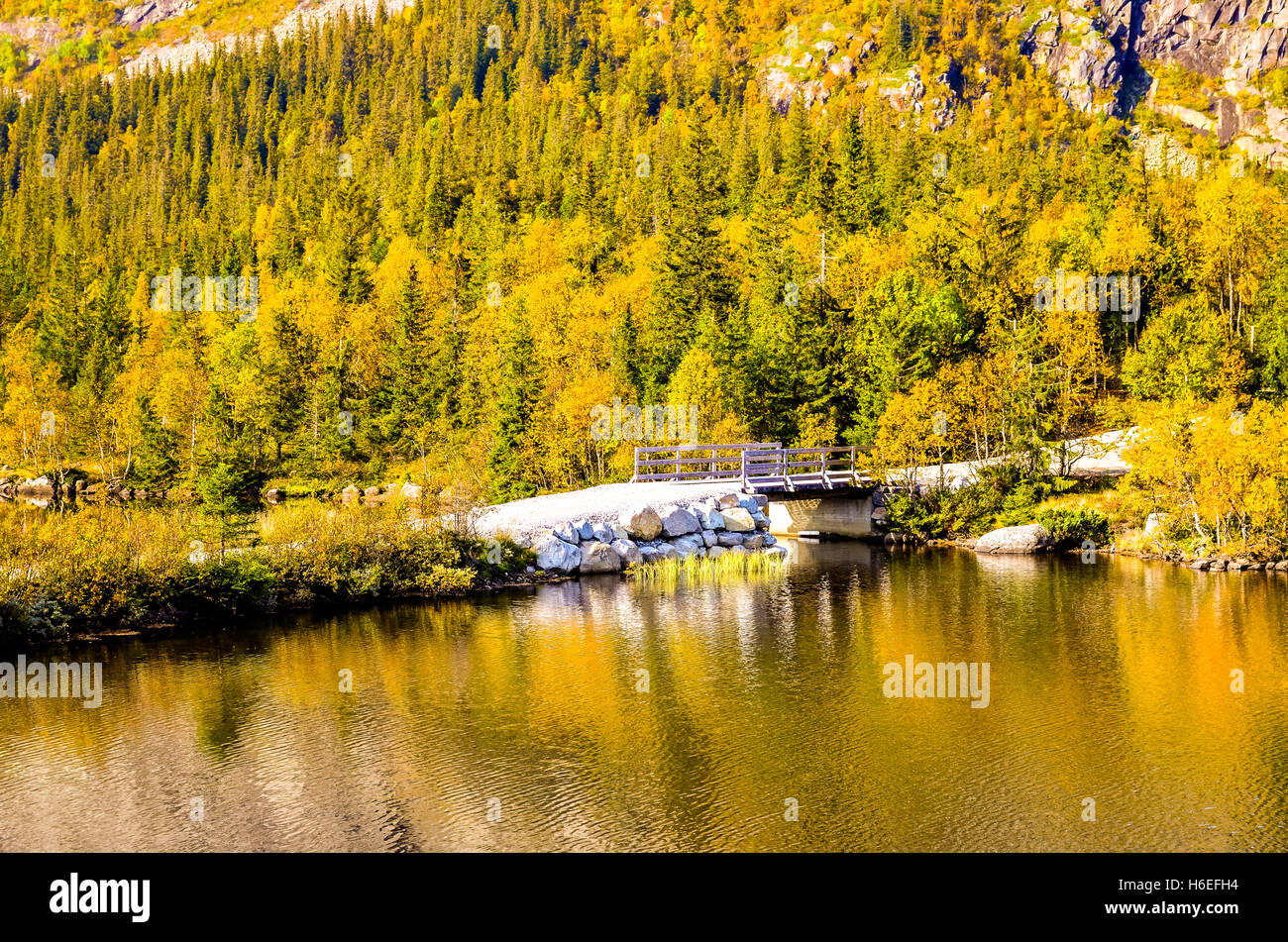 small white bridge over a fjord in autumn landscape Stock Photo