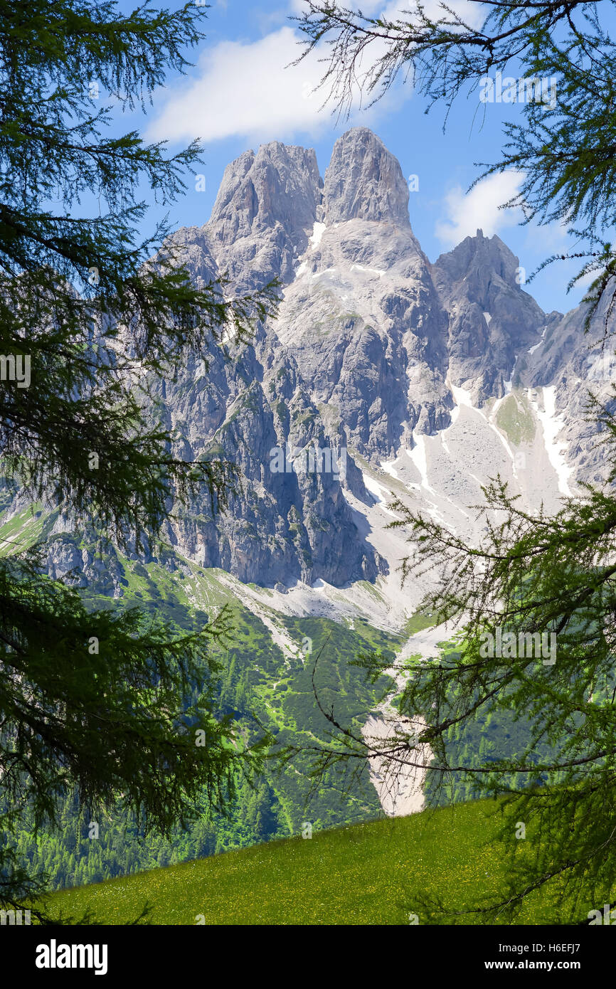 The rocky mountain of the Bischofsmütze stands tall above green pastures in the Alps of Salzburgerland. The scene is framed by the branches of trees. Stock Photo