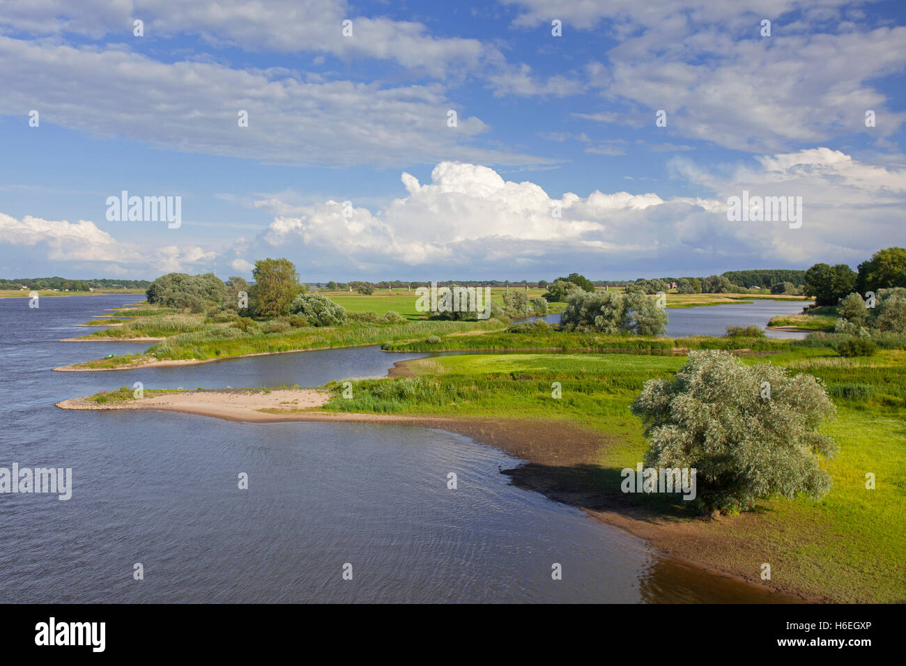 UNESCO Elbe River Landscape biosphere reserve in summer, Lower Saxony, Germany Stock Photo