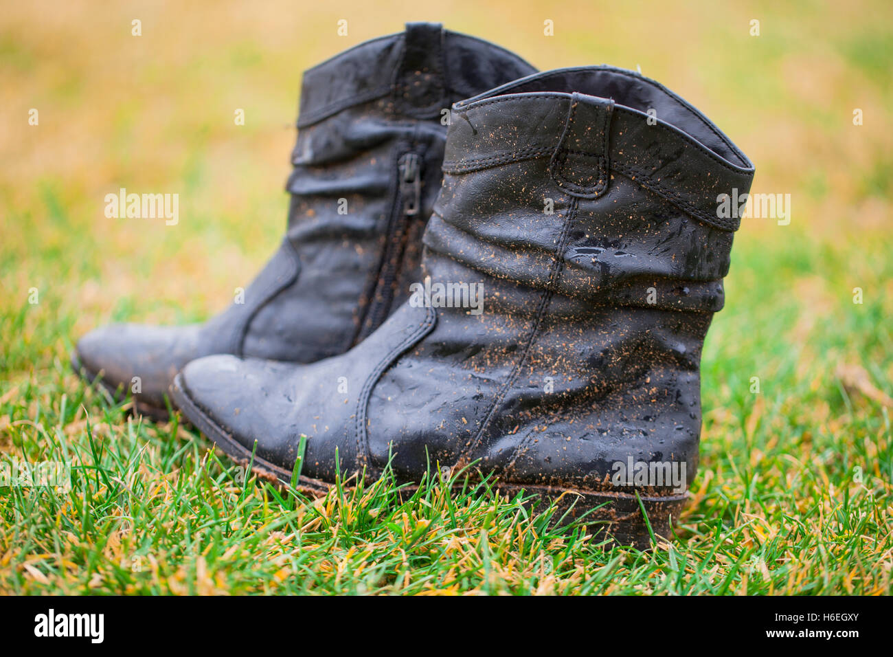 Muddy Cowgirl Boots Stock Photo