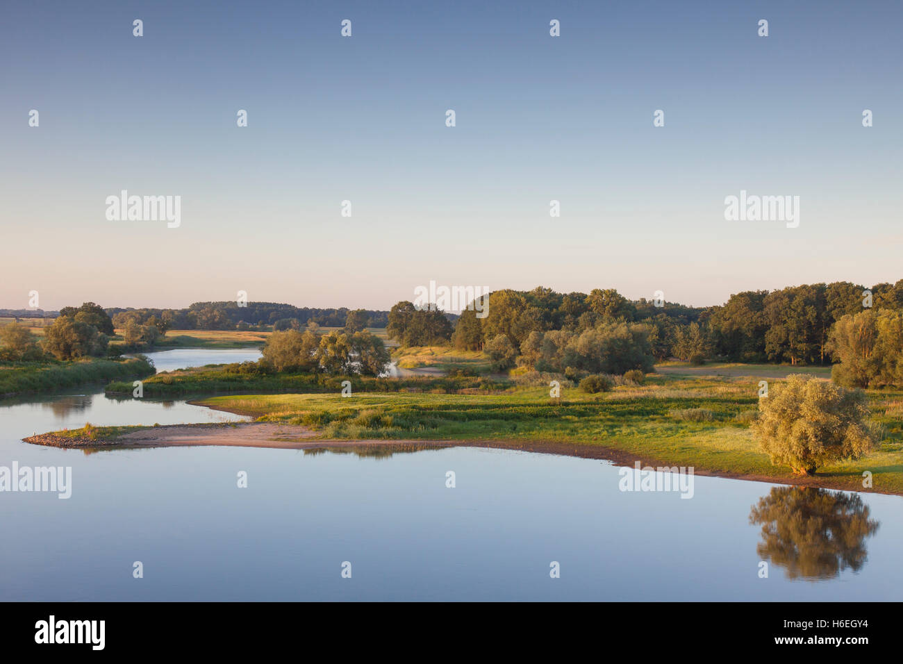 UNESCO Elbe River Landscape biosphere reserve in summer, Lower Saxony, Germany Stock Photo