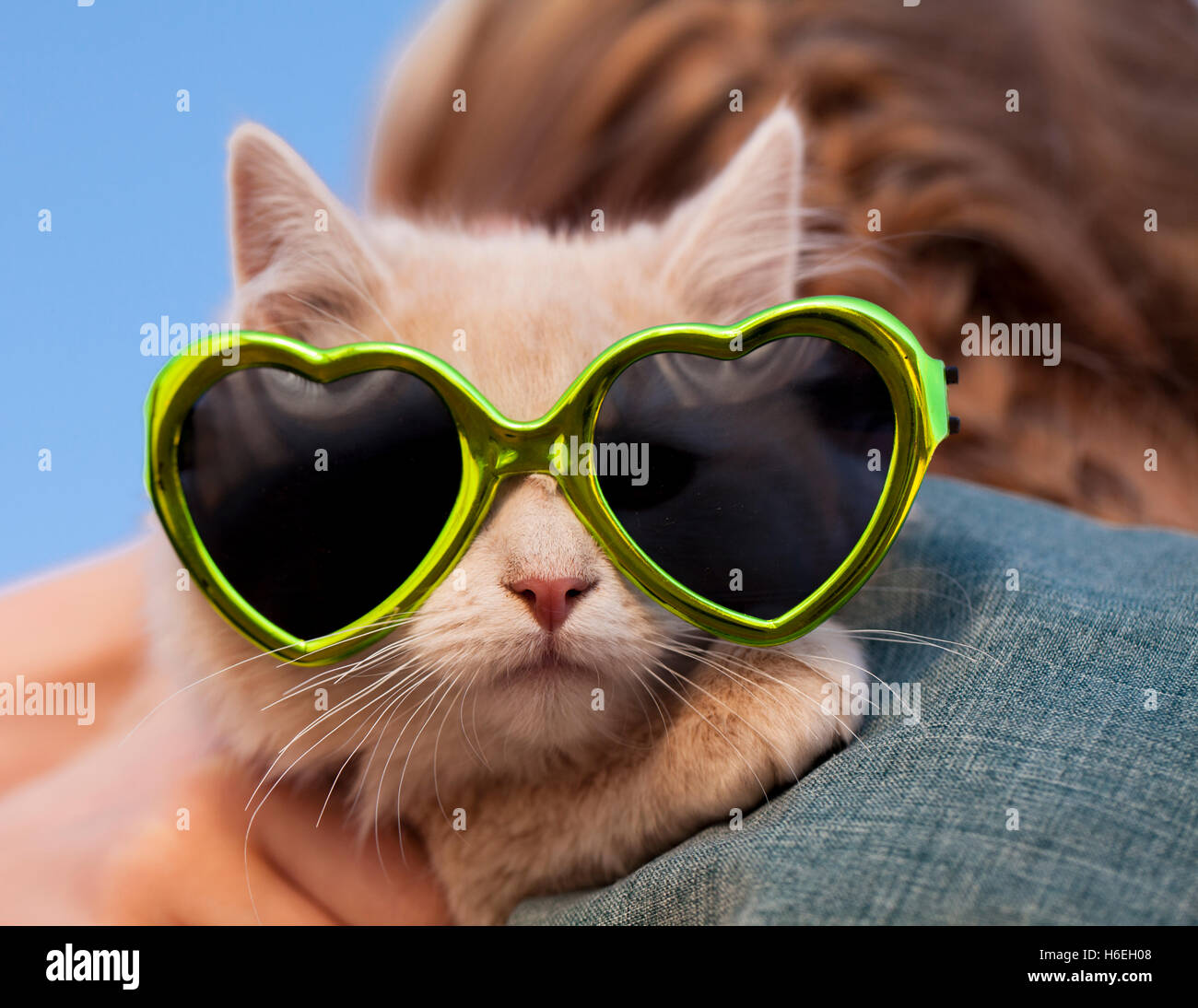 Cute Kitten Wearing Sunglasses Stock Photo
