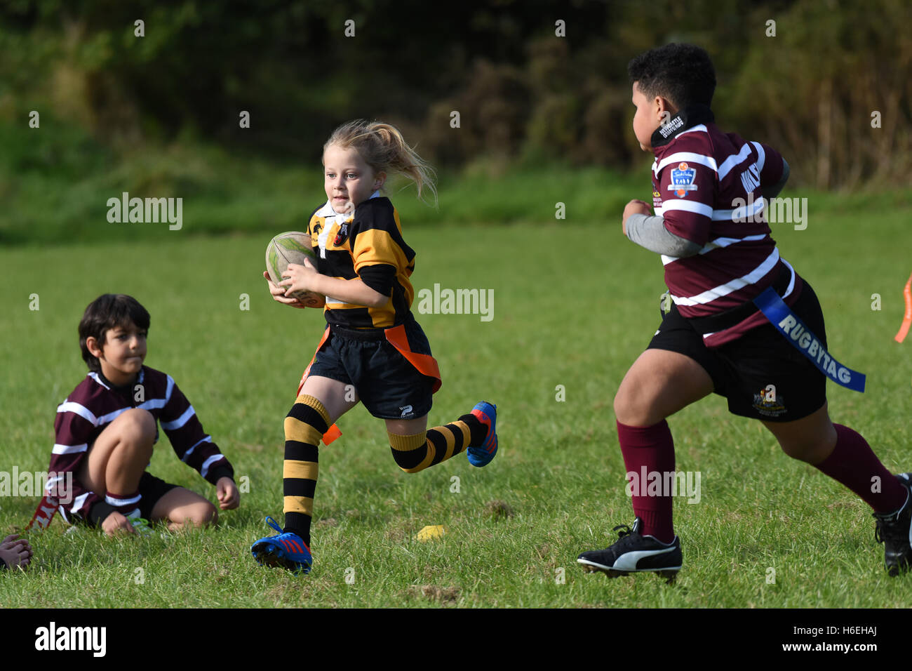 Junior childrens tag rugby match action with young girl running withg the ball Britain Uk children childrens sport  healthy activity girls girl sports Stock Photo