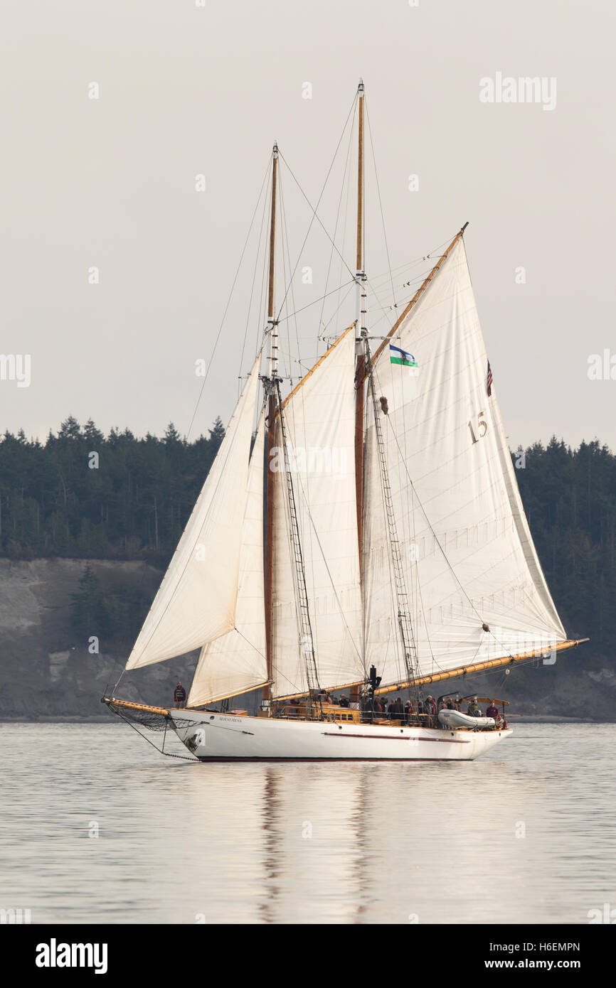 Sailing boat, sailboat wooden schooner yacht Port Townsend bay, Puget ...
