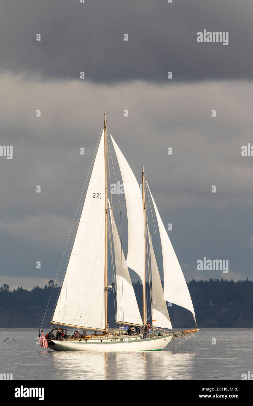 Sailing boat, sailboat wooden schooner yacht Port Townsend bay, Puget Sound, Washington. Stock Photo