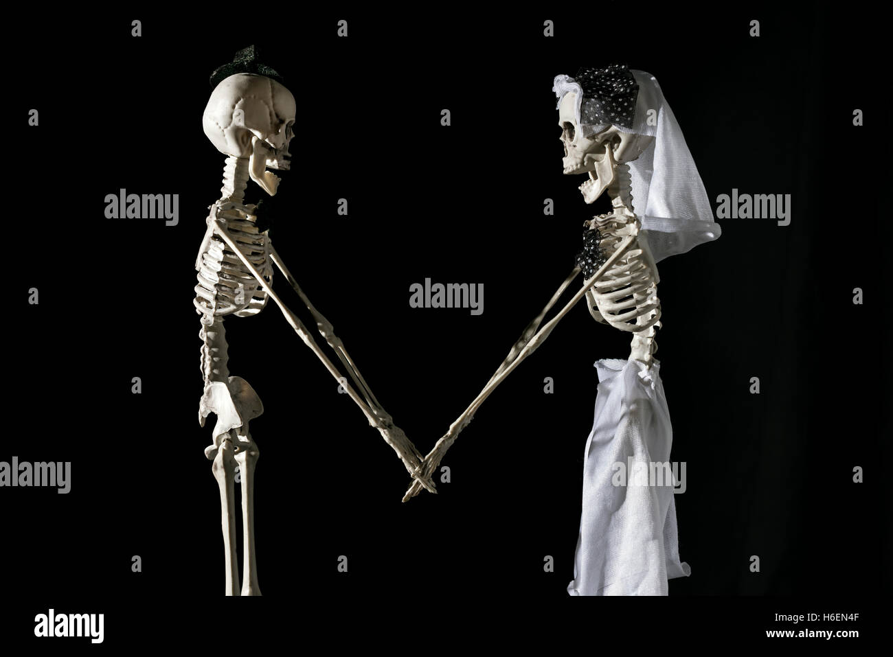 Skeleton bride and groom on a black background. Stock Photo
