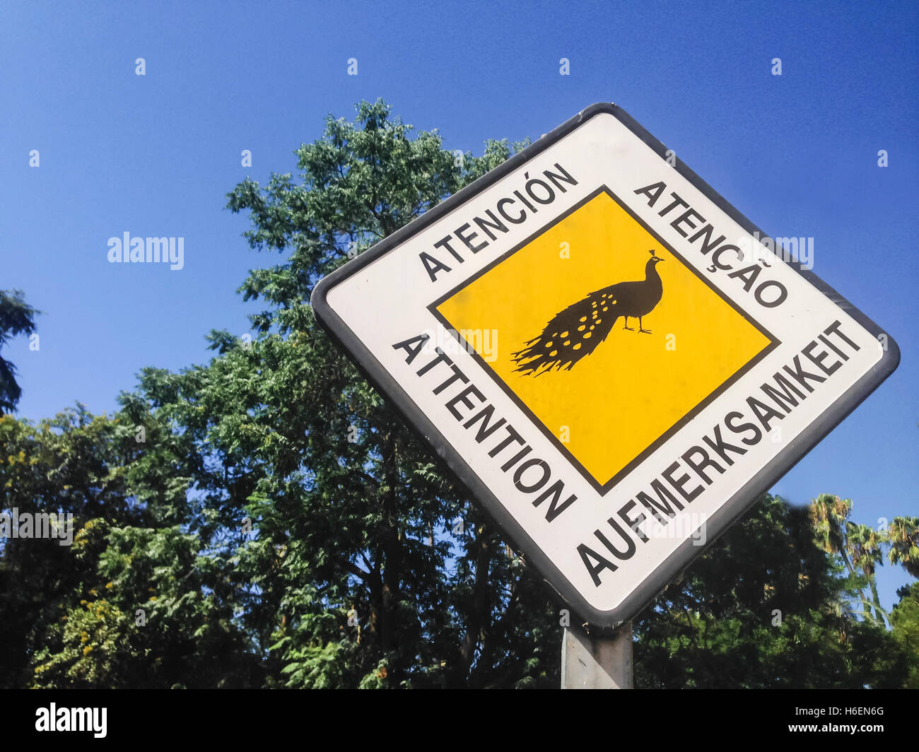 Portuguese traffic sign hires stock photography and images Alamy