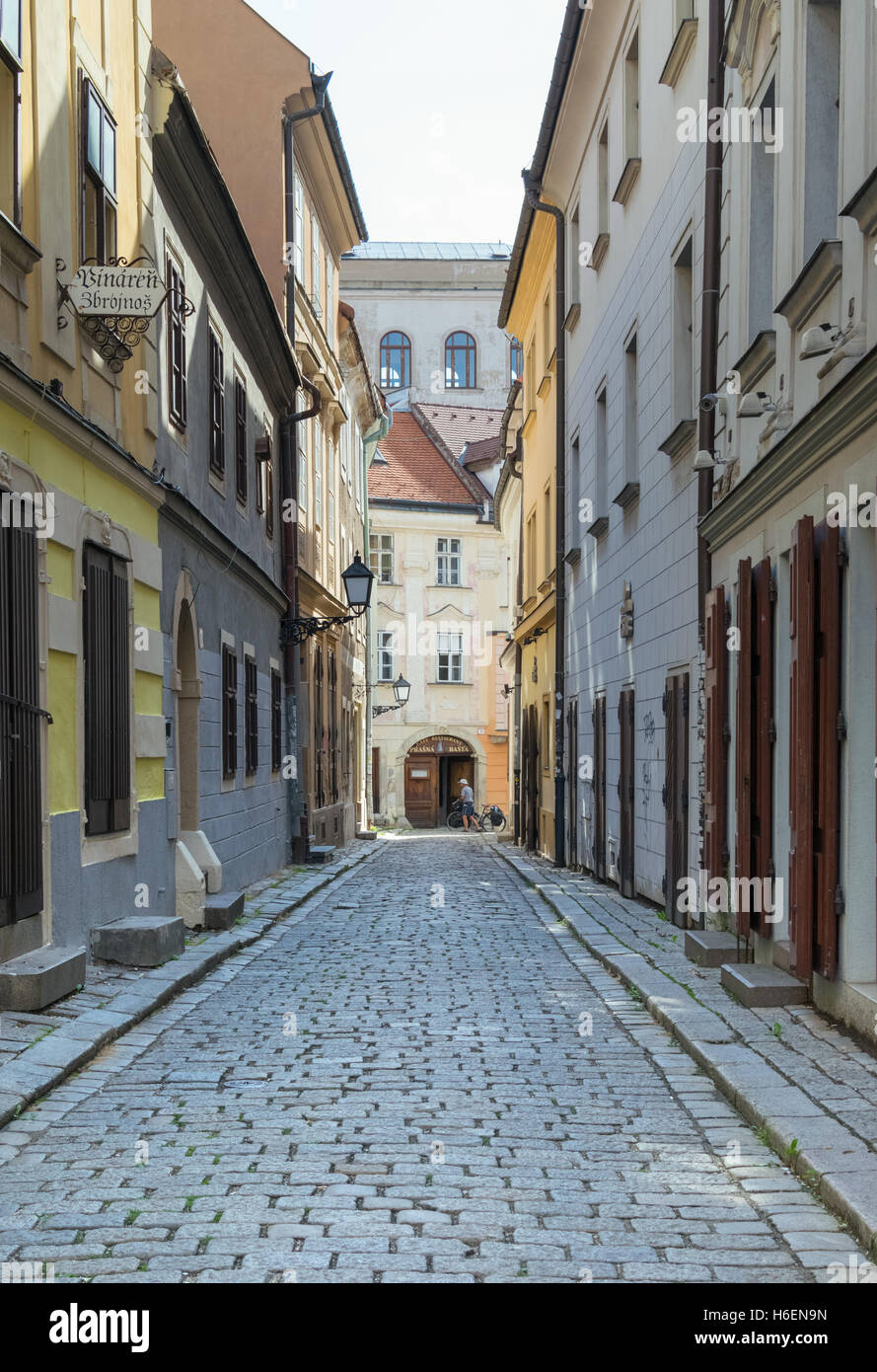 Empty alley with cobblestone street Stock Photo