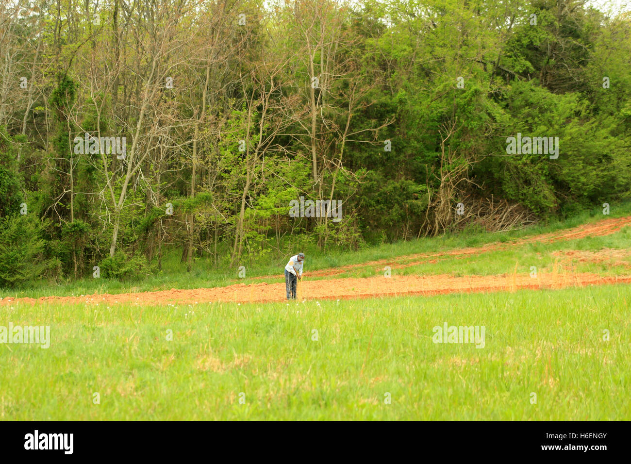 Adult man working on field Stock Photo