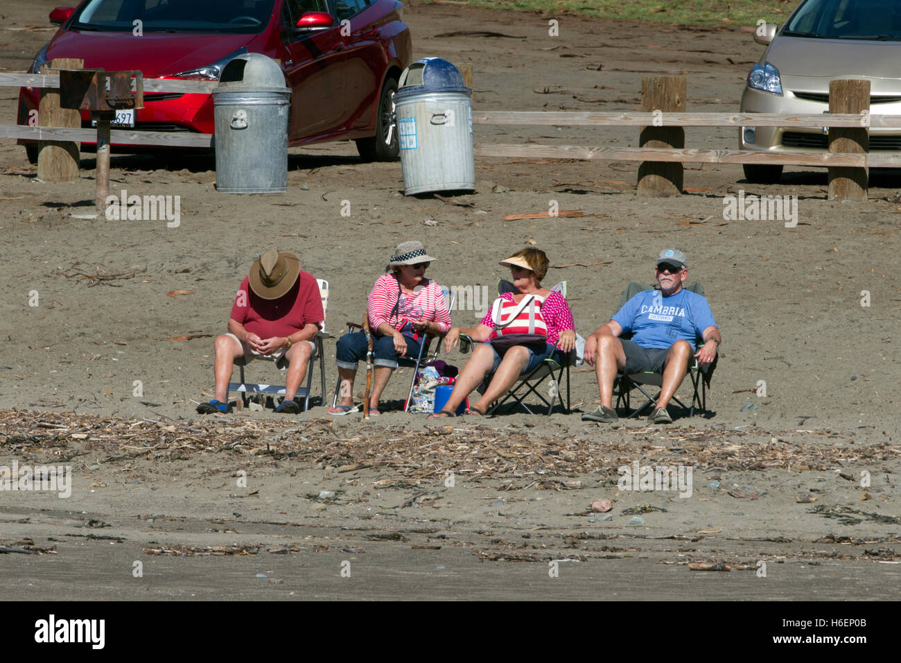 Two Older Couples Chilling at Beach Stock Photo