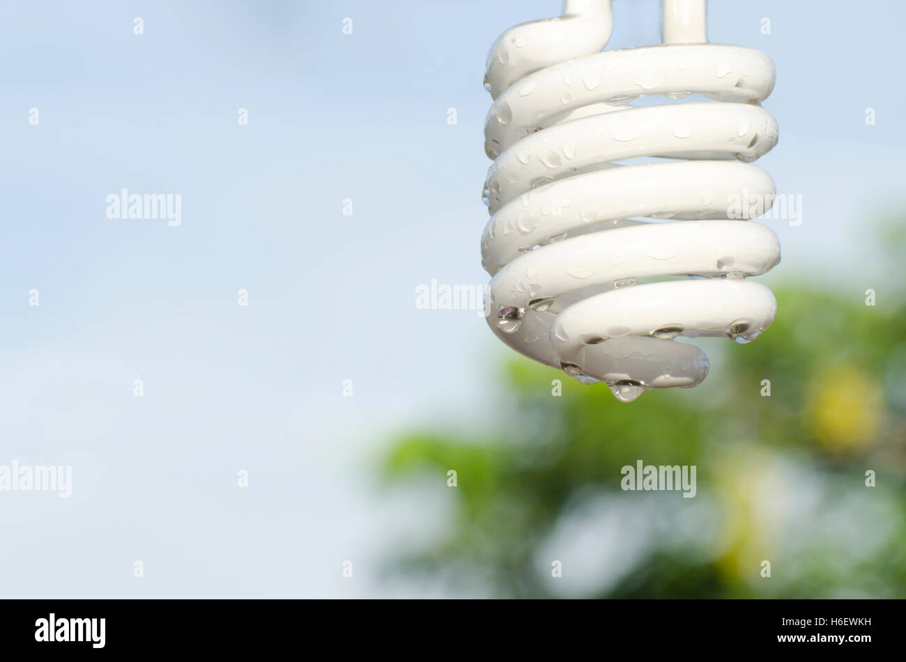 Wet bulb outdoors in the morning Stock Photo Alamy