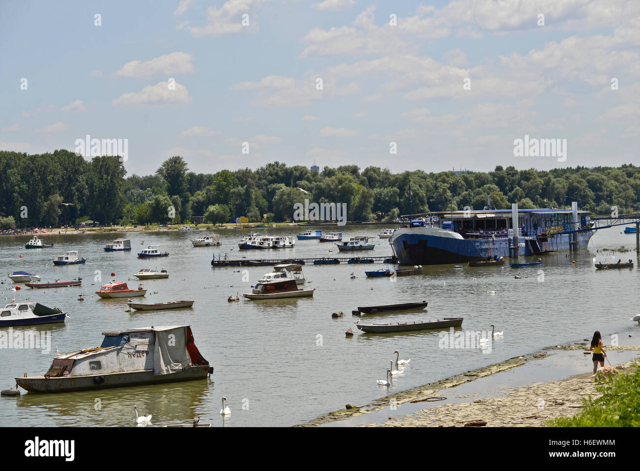 Ship and boats in the Sava River, Belgrade, Serbia Stock Photo